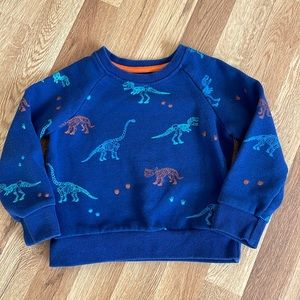 4T dino sweatshirt by sovereign code
